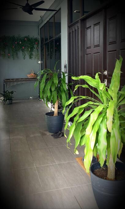 Family House @civic Centre Dewan Suarah